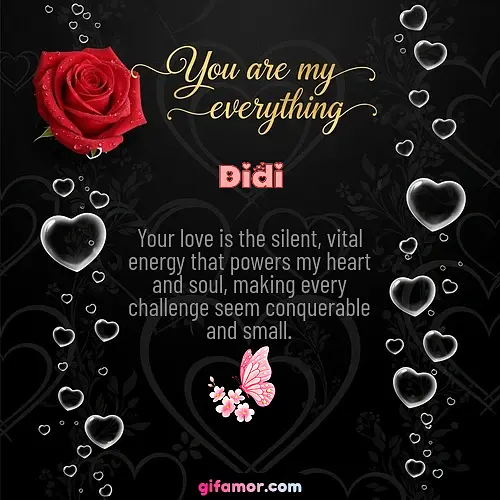 Didi