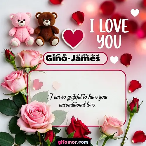 I Love You VII Gino-James
