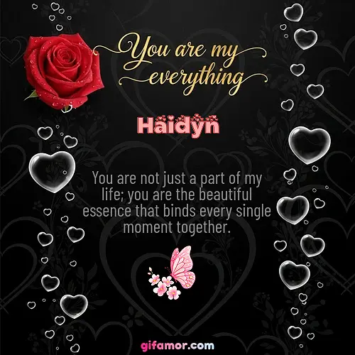 Haidyn