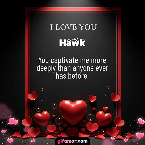 Hawk