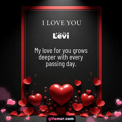 Levi