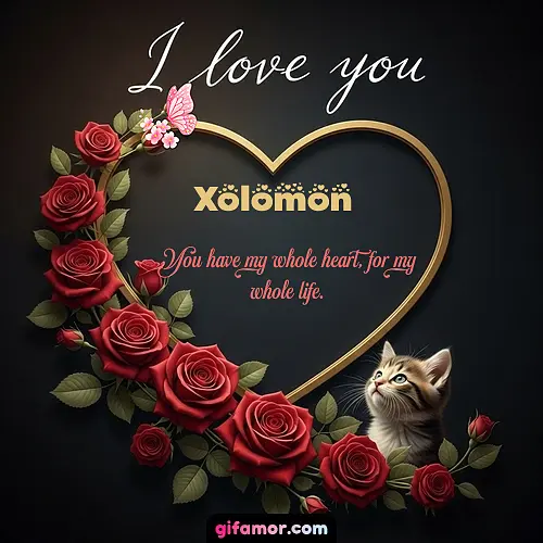 Xolomon