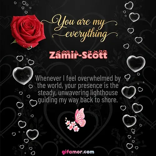 Zamir-Scott