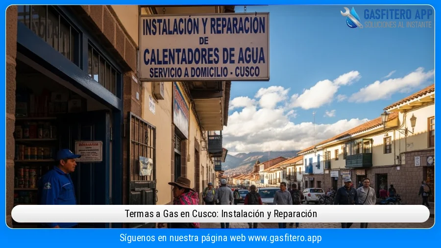 Termas a Gas: Instalación y Reparación